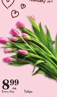 Pavilions Tulips offer