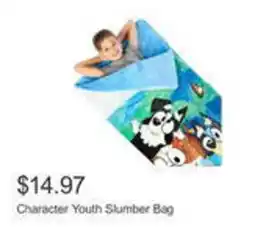 Costco Character Youth Slumber Bag offer