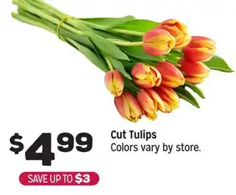 Grocery Outlet Cut Tulips offer