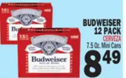 Bravo Supermarkets BUDWEISER 12 PACK offer