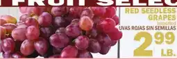 Bravo Supermarkets RED SEEDLESS GRAPES offer