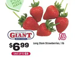 Grocery Outlet Long Stem Strawberries, 1 lb offer