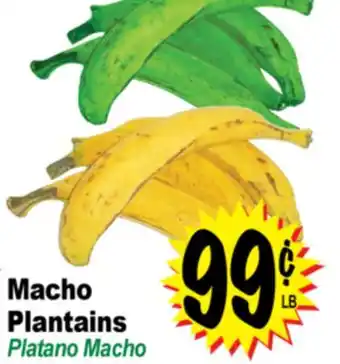 Superior Grocers Macho Plantains offer