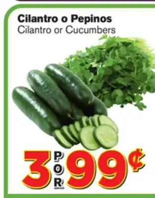 El Super Fresh Cilantro or Cucumbers offer