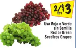 El Super Red or Green Seedless Grapes offer