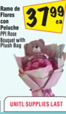 El Super PPI Rose Bouquet with Plush Bag offer