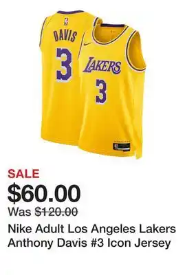 Dick's Sporting Goods Nike Adult Los Angeles Lakers Anthony Davis #3 Icon Jersey offer