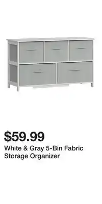 Big Lots White & Gray 5-Bin Fabric Storage Organizer offer