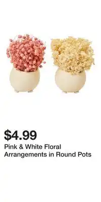 Big Lots Pink & White Floral Arrangements in Round Pots offer