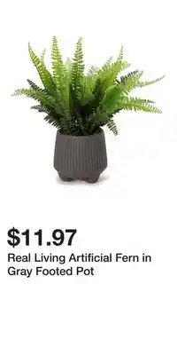 Big Lots Real Living Artificial Fern in Gray Footed Pot offer