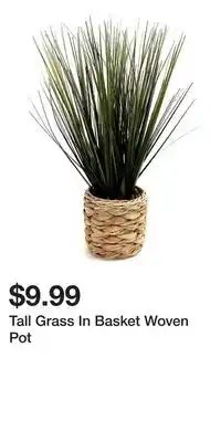 Big Lots Tall Grass In Basket Woven Pot offer