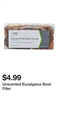 Big Lots Unscented Eucalyptus Bowl Filler offer