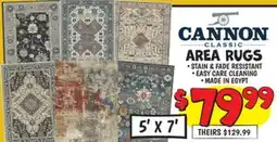 Ollie's AREA RUGS offer