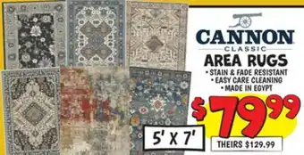 Ollie's AREA RUGS offer