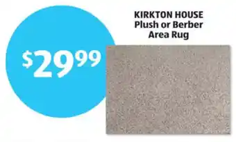 Aldi Kirkton house plush or berber area rug offer