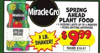 Ollie's SPRING AHEAD PLANT FOOD offer