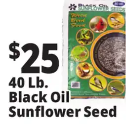 Ocean State Job Lot Black Oil Sunflower Seeds 40 lbs offer