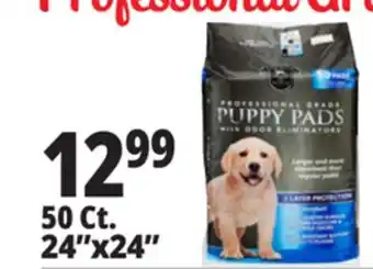 Ocean State Job Lot 24x24 Puppy Pads with Odor Eliminators 50 Count offer