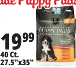 Ocean State Job Lot Huntington Pet Products Professional Grade 27.5 x 35 Puppy Pads with Odor Eliminators 40 Count offer