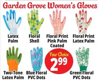 Ocean State Job Lot Garden Grove Women's Gloves offer