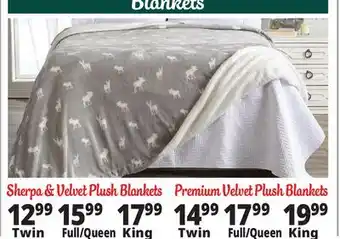 Ocean State Job Lot Blankets offer