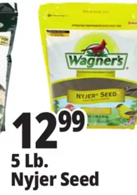 Ocean State Job Lot Wagner's Premium Nyjer Seed 5 lbs offer