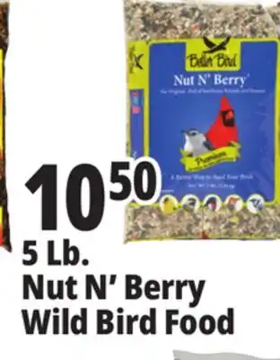 Ocean State Job Lot Better Bird Premium Nut N' Berry Bird Food 5 lbs offer