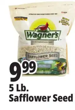 Ocean State Job Lot Wagner's Safflower Seed Deluxe Wild Bird Food offer