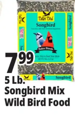 Ocean State Job Lot Better Bird Songbird Better Blends Food 5 lbs offer