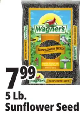 Ocean State Job Lot Wagner's Black Oil Sunflower Seed Wild Bird Food 5 lbs offer