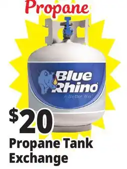 Ocean State Job Lot Blue Rhino Propane Tank No-Exchange offer