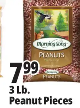 Ocean State Job Lot Morning Song Wildlife Food Peanuts 3 lbs offer