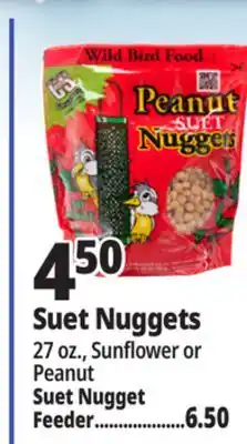 Ocean State Job Lot C&S Suet Nuggets offer