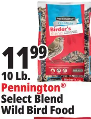 Ocean State Job Lot 10 Lb. Pennington Select Blend Wild Bird Food offer