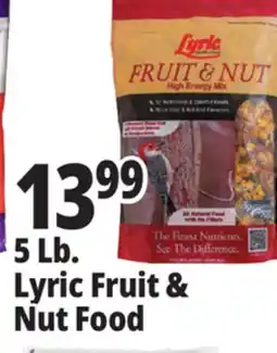 Ocean State Job Lot Lyric Fruit and Nut High Energy Wild Bird Food Mix 5 lbs offer