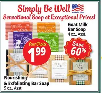 Ocean State Job Lot Simply Be Well Soaps offer