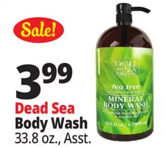 Ocean State Job Lot Dead Sea Body Wash offer