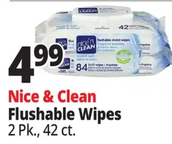 Ocean State Job Lot Nice & Clean Flushable Wipes offer