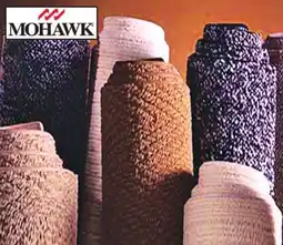 Ocean State Job Lot Mohawk Bound Carpets 2'x3' offer