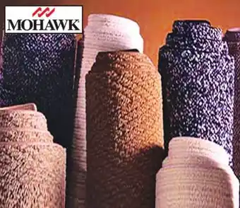 Ocean State Job Lot Mohawk Bound Carpets 2'x3' offer