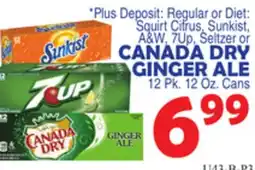 Bravo Supermarkets CANADA DRY GINGER ALE offer