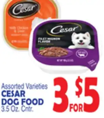 Bravo Supermarkets CESAR DOG FOOD offer