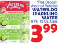 Bravo Supermarkets WATERLOO SPARKLING WATER offer