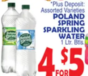 Bravo Supermarkets POLAND SPRING SPARKLING WATER offer