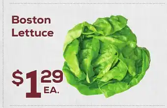 DeCicco & Sons Boston Lettuce offer