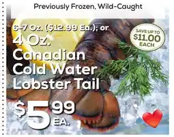 DeCicco & Sons Canadian Cold Water Lobster Tail offer