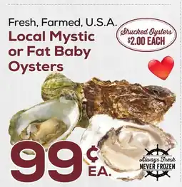 DeCicco & Sons Local Mystic or Fat Baby Oysters offer