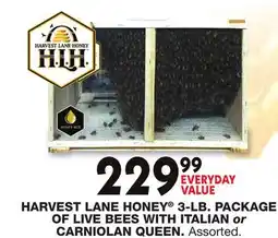 Blain's Farm & Fleet HARVEST LANE HONEY 3-LB. PACKAGE OF LIVE BEES WITH ITALIAN or CARNIOLAN QUEEN offer