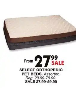 Blain's Farm & Fleet SELECT ORTHOPEDIC PET BEDS offer