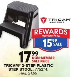 Blain's Farm & Fleet TRICAM 2-STEP PLASTIC STEP STOOL offer